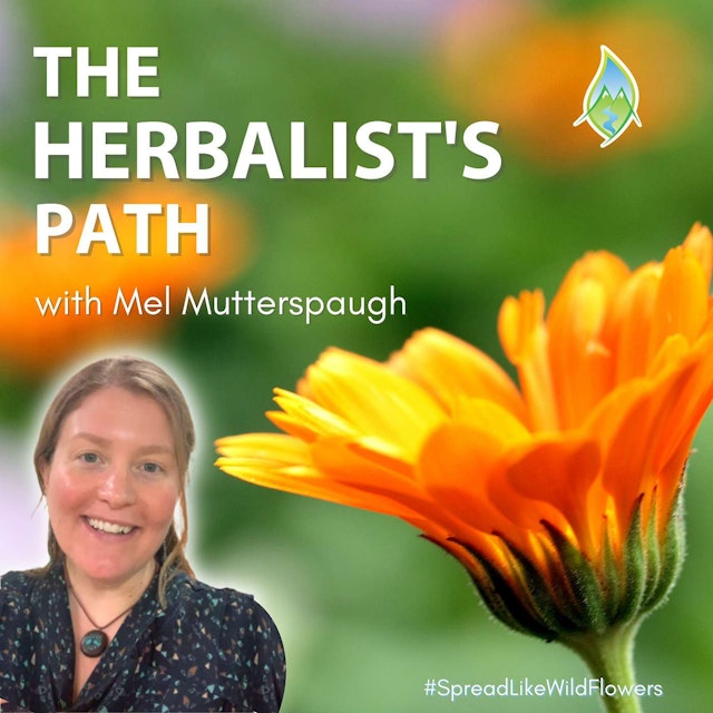 The Herbalist's Path