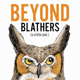 Beyond Blathers