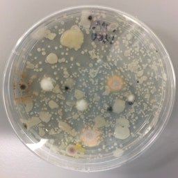 Microbiology Lab Pod