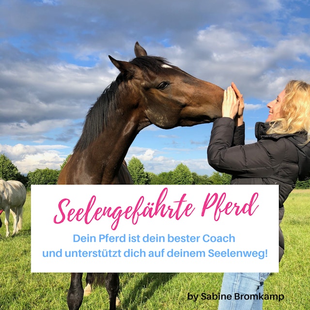 Seelengefährte Pferd by Sabine Bromkamp