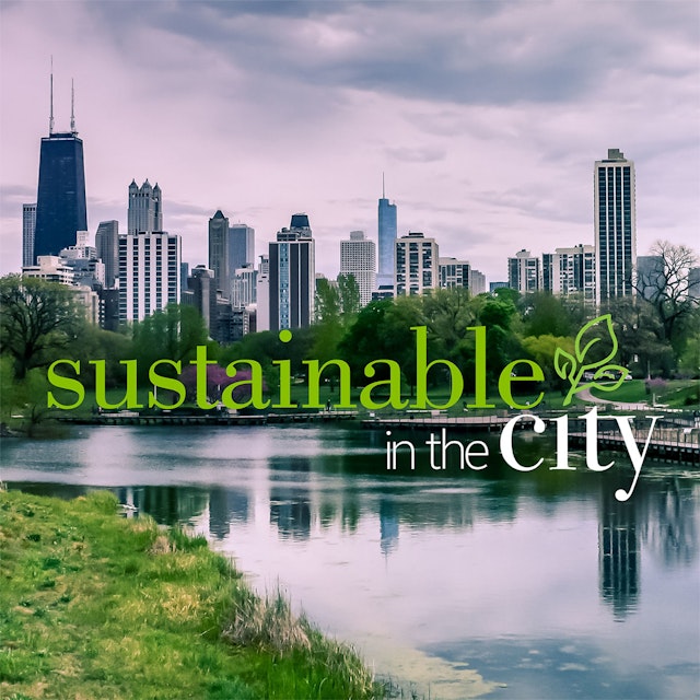 Sustainable In the City