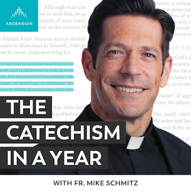 The Catechism in a Year (with Fr. Mike Schmitz)-image}