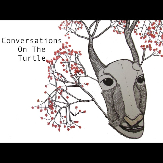 Conversations on the Turtle
