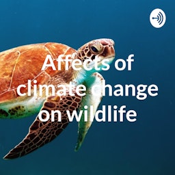 Affects of climate change on wildlife