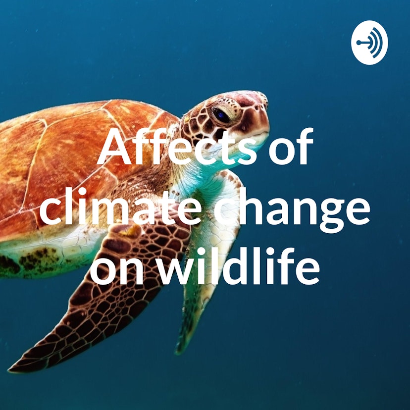 Affects of climate change on wildlife
