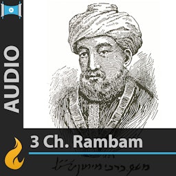 Rambam - 3 Chapters a Day