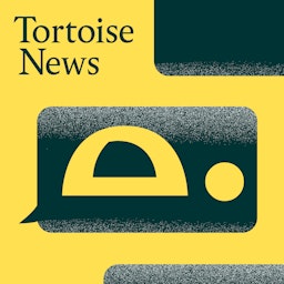Tortoise News