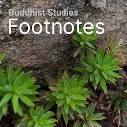 Buddhist Studies Footnotes