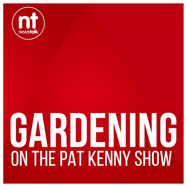 Gardening on Pat Kenny