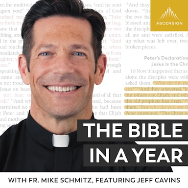 The Bible in a Year (with Fr. Mike Schmitz)-image}