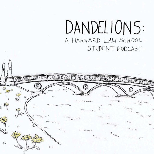 Dandelions: A Harvard Law School Podcast