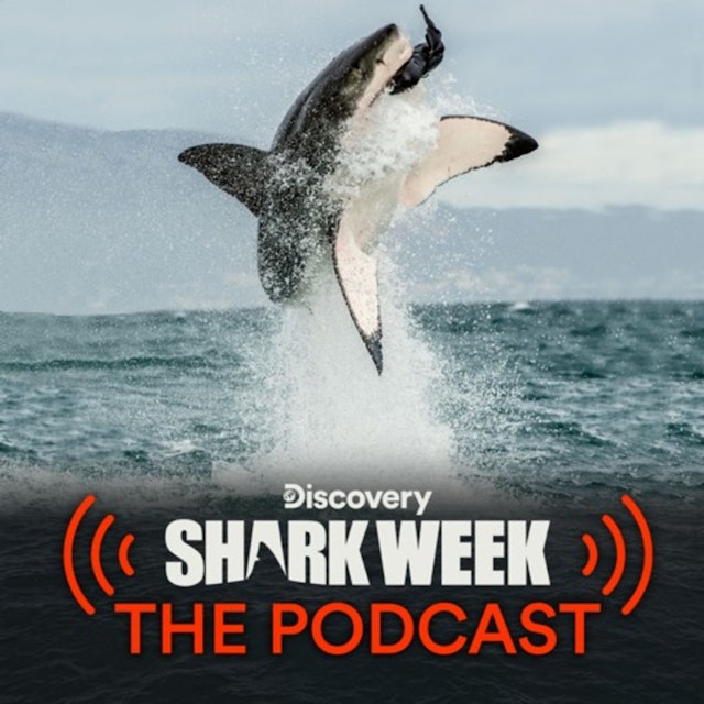 Shark Week: The Podcast