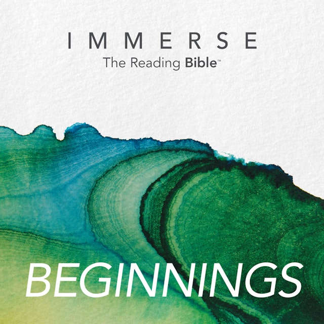 Immerse: Beginnings – 16 Week Bible Reading Experience