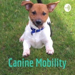 Canine Mobility