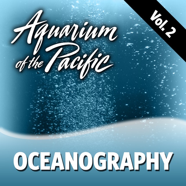 Oceanography Vol. 2