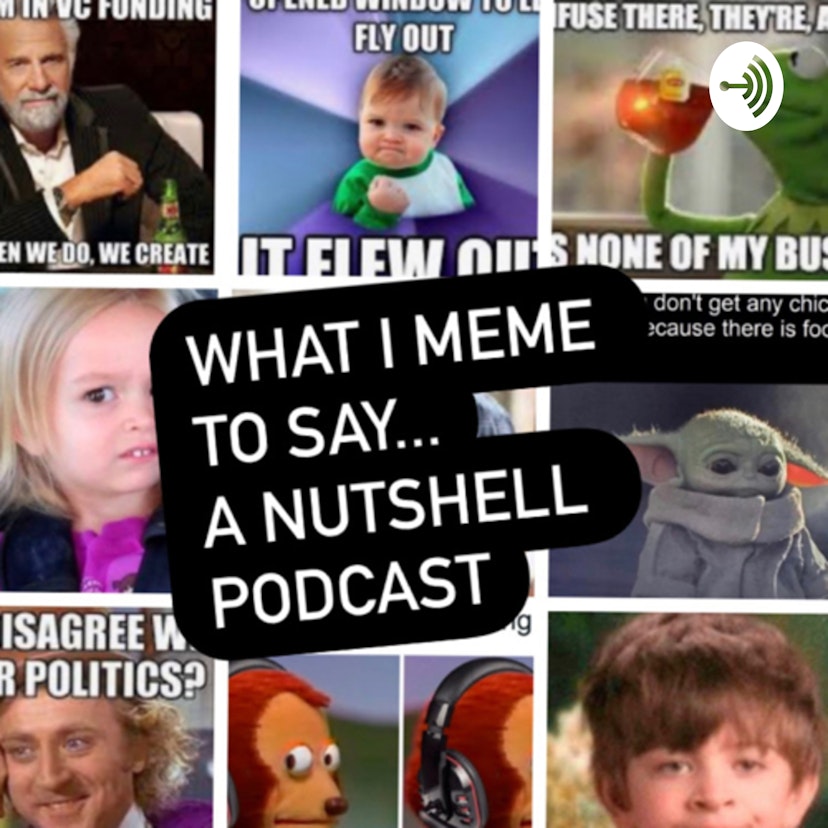 What I meme to say...a nutshell podcast
