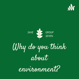 ¿why do you think about enviroment?