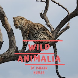 Wild Animalia
