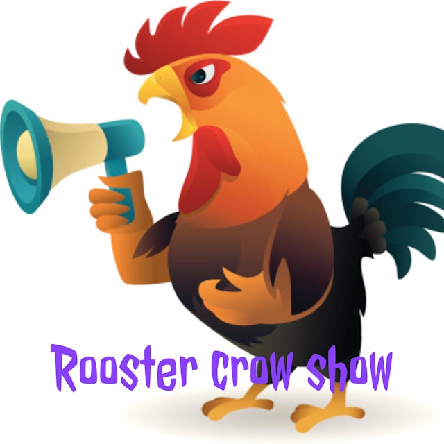 Rooster crow show