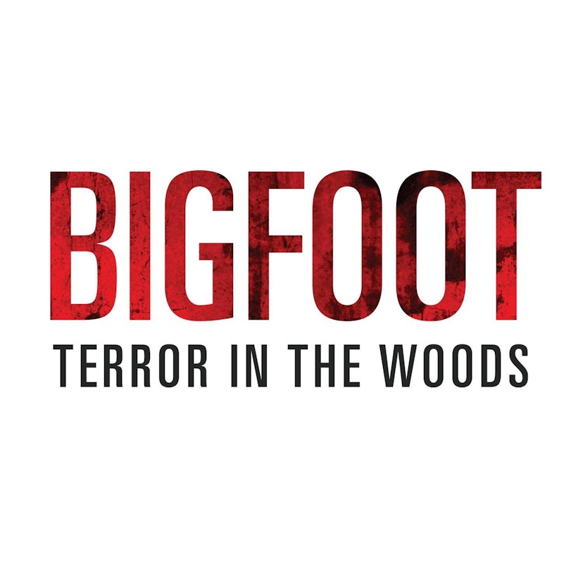 Bigfoot Terror in the Woods Sightings and Encounters