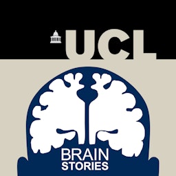 Brain Stories