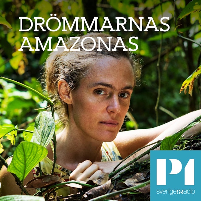 Drömmarnas Amazonas