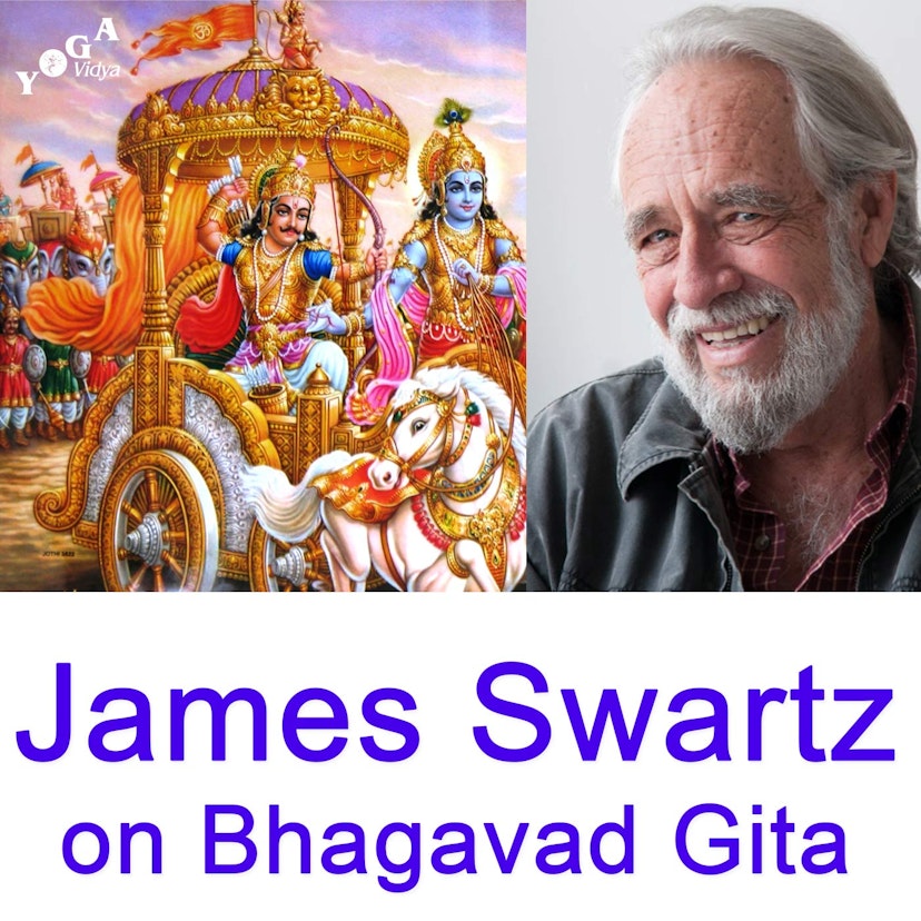 James Swartz  - Vedanta Talks on the Bhagavad Gita