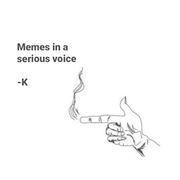 Memes In A Serious Voice