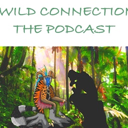 Wild Connection: The Podcast