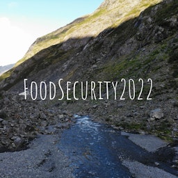 FoodSecurity2022