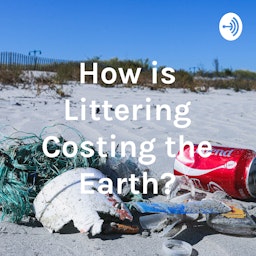 How is Littering Costing the Earth?