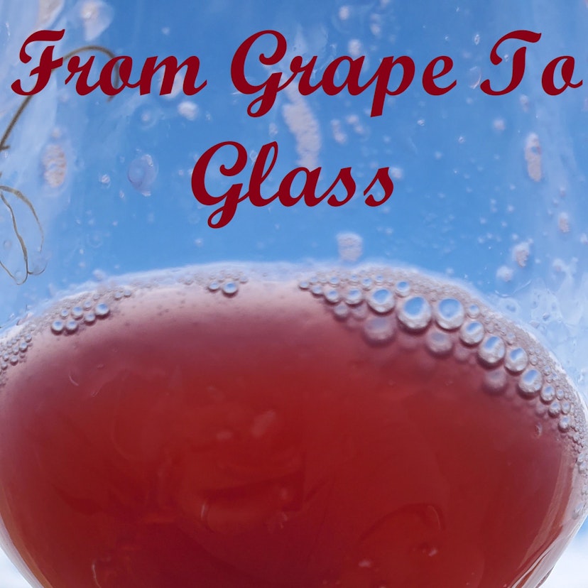 Grape to Glass: Deconstructing Romance of Winemaking