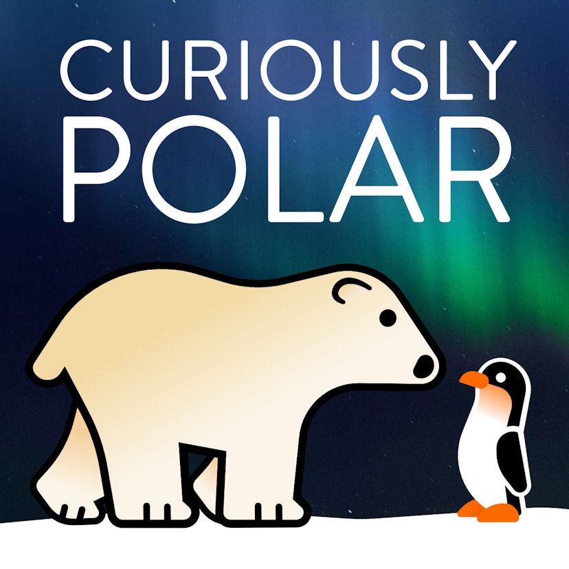 Curiously Polar