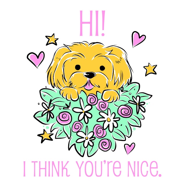 Hi! I Think You're Nice!