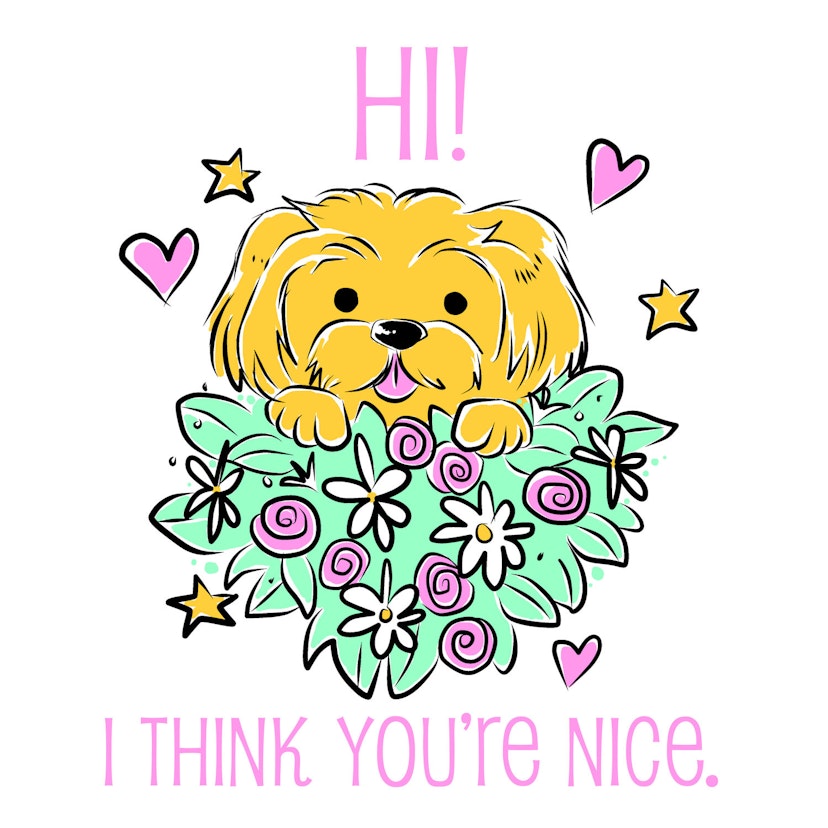 Hi! I Think You're Nice!