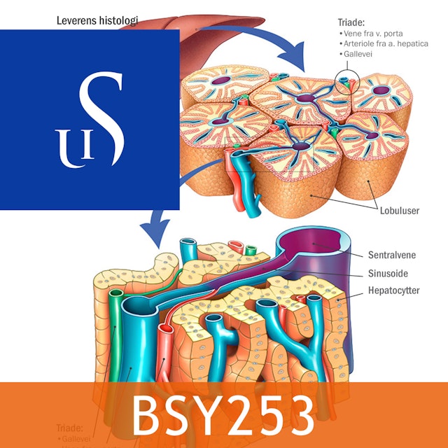 BSY253 - Sykepleiens naturvitenskapelige og medisinske grunnlag 2 Del B