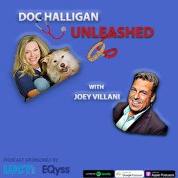 Doc Halligan Unleashed with Joey Villani