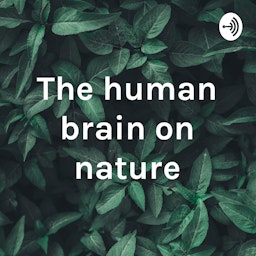 The human brain on nature