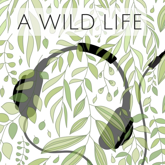 A Wild Life Podcast