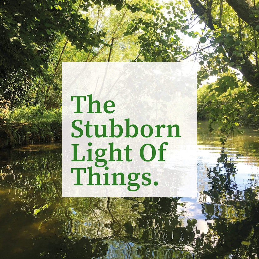 The Stubborn Light of Things