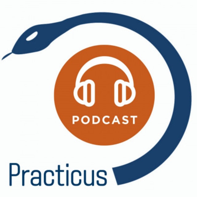 Practicus Podcast