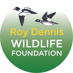 Roy Dennis Wildlife Foundation: hands-on conservation