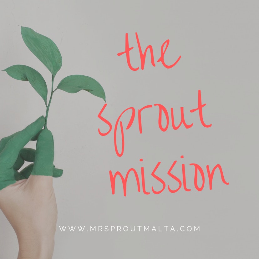 The Sprout Mission