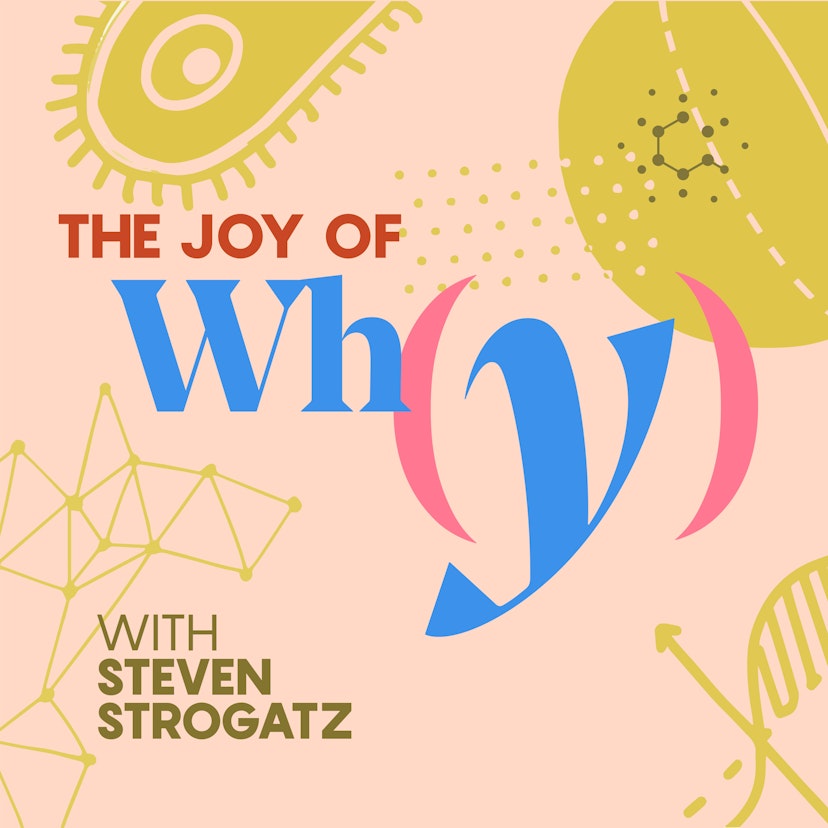 The Joy of Why