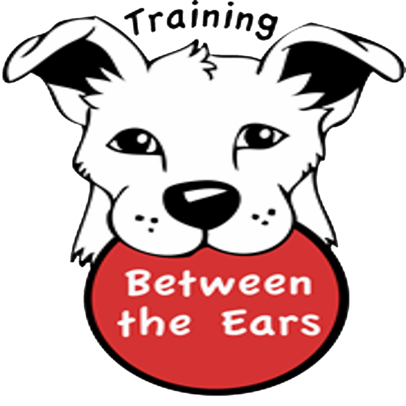 Training Between The Ears Dog Training Podcast