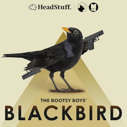 The Bootsy Boys' Blackbird