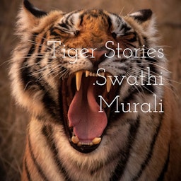 Tiger Stories .Swathi Murali