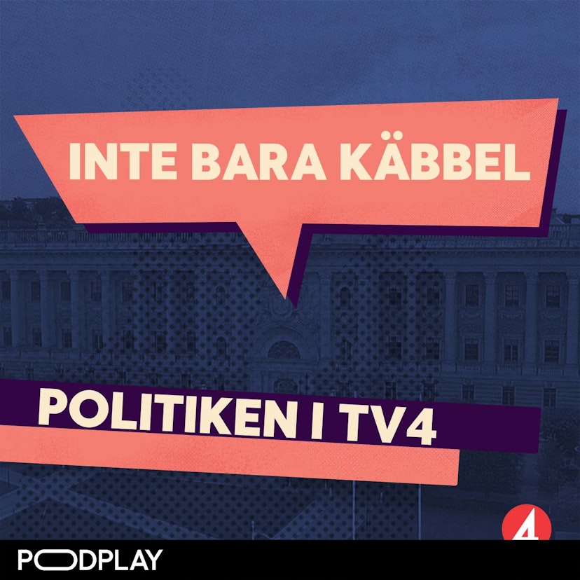 Inte bara käbbel - Politiken i TV4