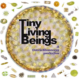 Tiny Living Beings