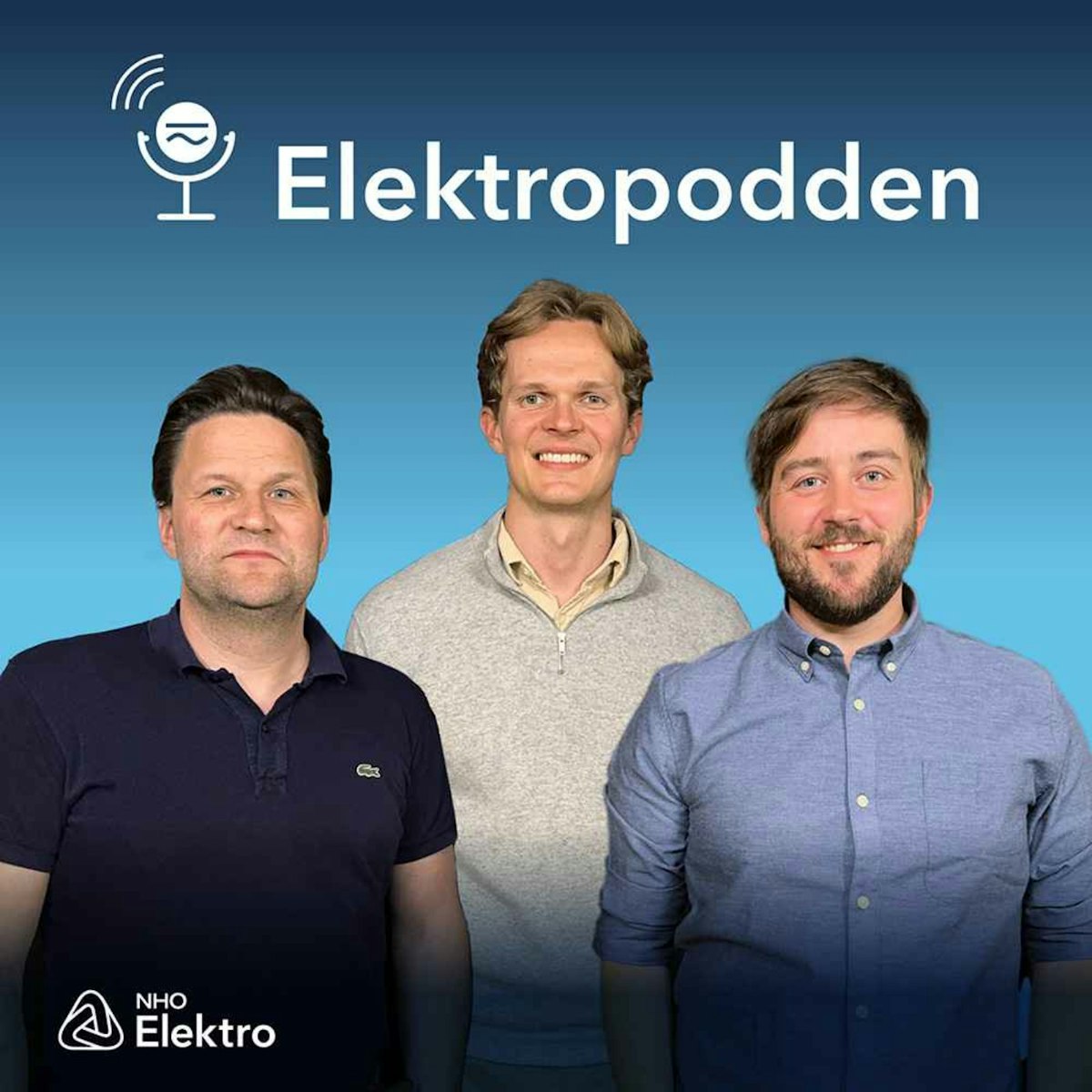 Solåret 2025 | Elektropodden | Podplay